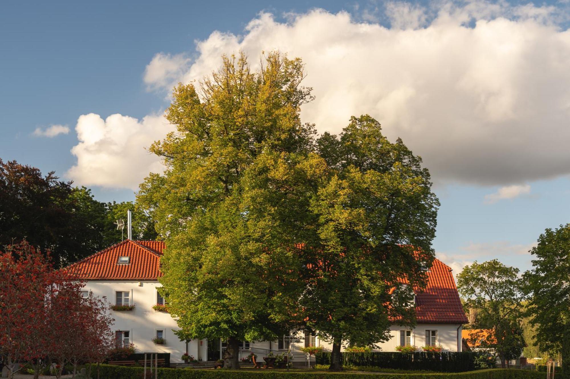 Stary Mlyn Strzeszyn Hotel Lubowo  Eksteriør billede